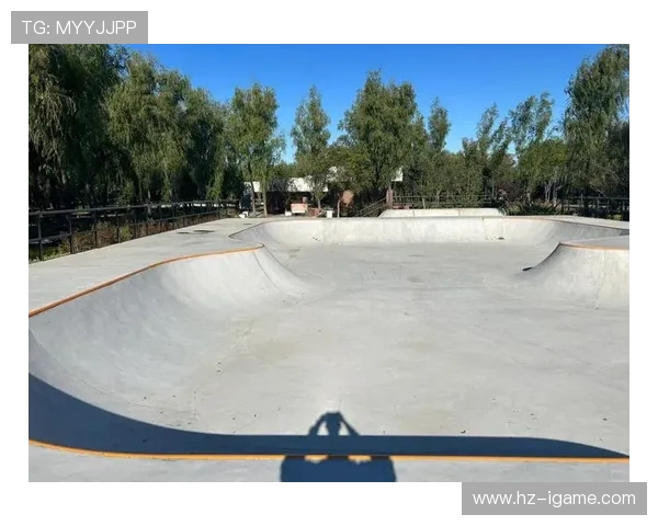 北京滑板队引领最新滑板灵活性排行榜前十名全解析