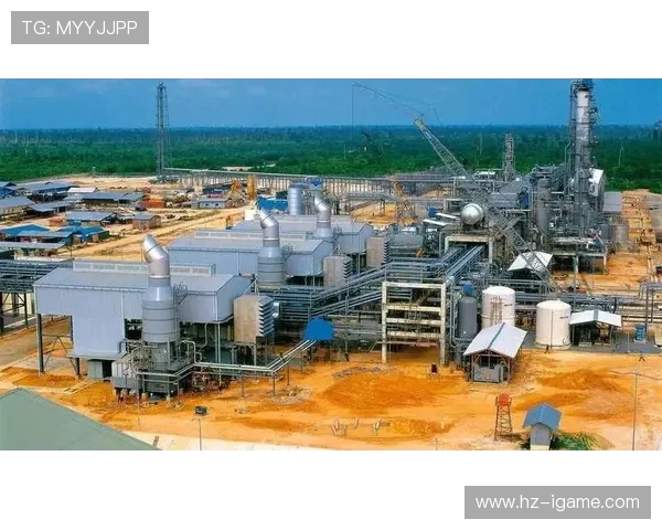 亚马尔地区的能源战略与全球市场的互动关系分析 亚马尔地区的能源战略与全球市场的互动关系分析